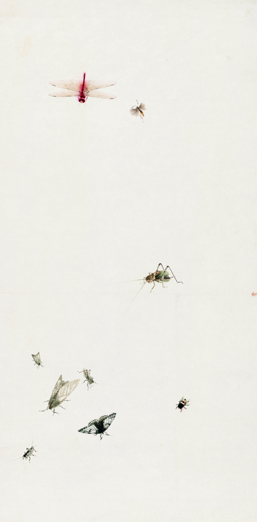 出居声响——齐白石笔下的草虫世界将在江苏省美术馆展出