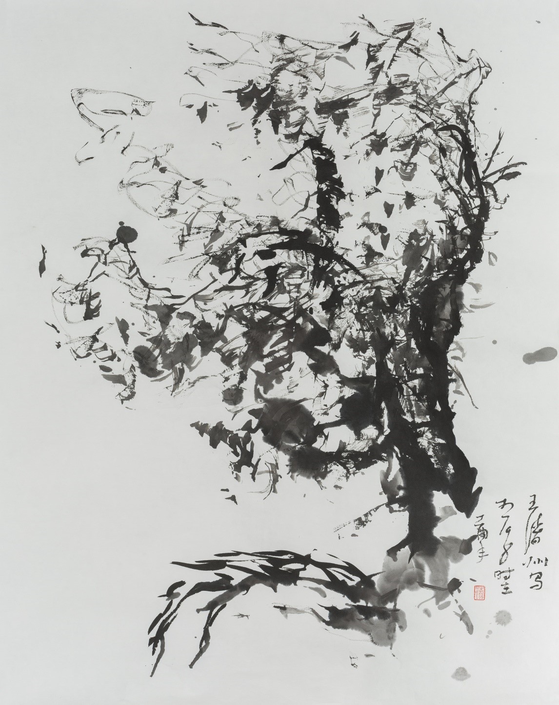 图片版权归原作者所有 图片版权归原作者所有